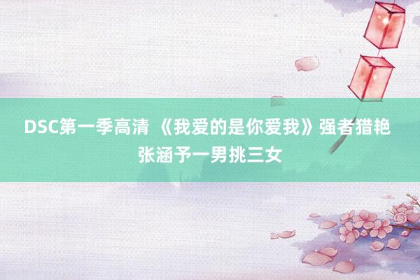 DSC第一季高清 《我爱的是你爱我》强者猎艳 张涵予一男挑三女