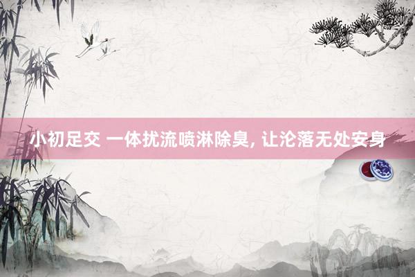 小初足交 一体扰流喷淋除臭， 让沦落无处安身