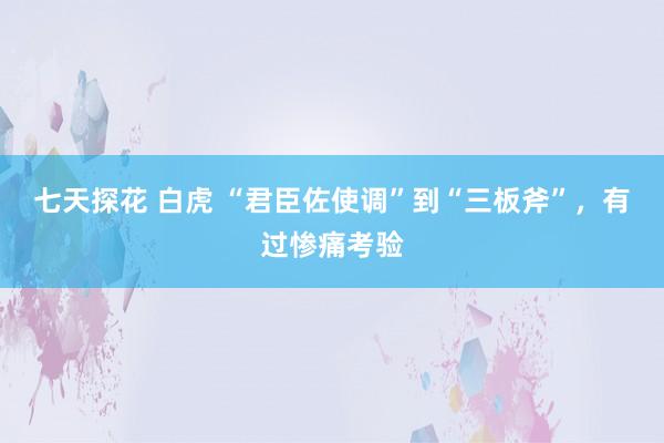 七天探花 白虎 “君臣佐使调”到“三板斧”，有过惨痛考验