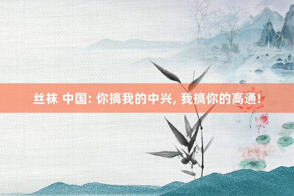 丝袜 中国: 你搞我的中兴， 我搞你的高通!