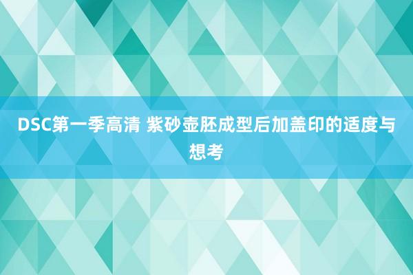 DSC第一季高清 紫砂壶胚成型后加盖印的适度与想考