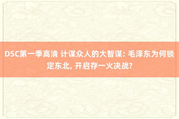 DSC第一季高清 计谋众人的大智谋: 毛泽东为何锁定东北， 开启存一火决战?