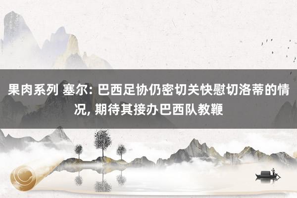 果肉系列 塞尔: 巴西足协仍密切关快慰切洛蒂的情况， 期待其接办巴西队教鞭